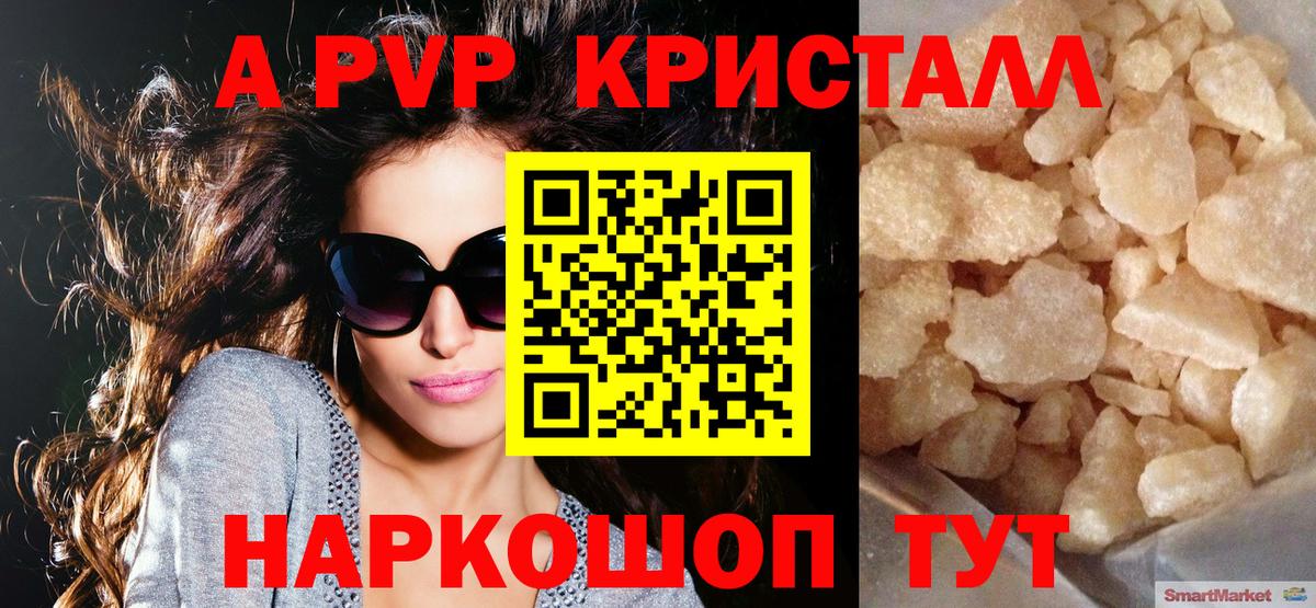 A PVP СК Старая Русса