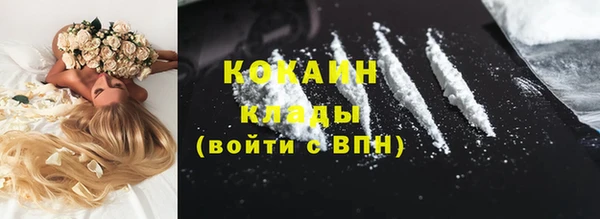 прущая мука Нея