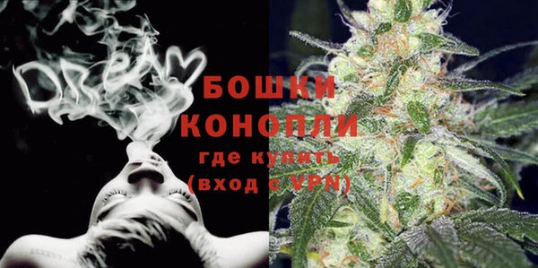 индика Нефтегорск