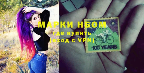 индика Нефтегорск
