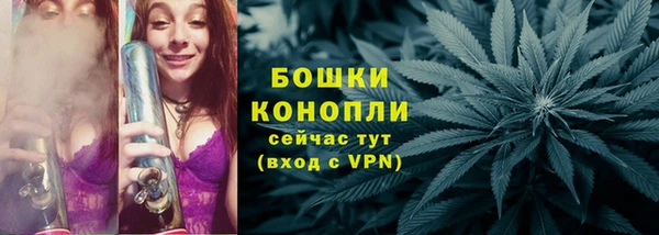 прущая мука Нея