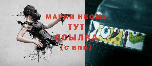 индика Нефтегорск