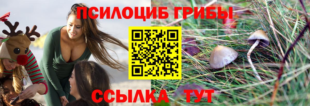 Галлюциногенные грибы Cubensis Старая Русса